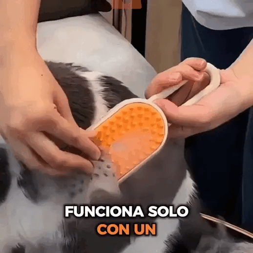 MANTEN TU HOGAR LIBRE DE PELOS! CON EL CEPILLO A VAPOR