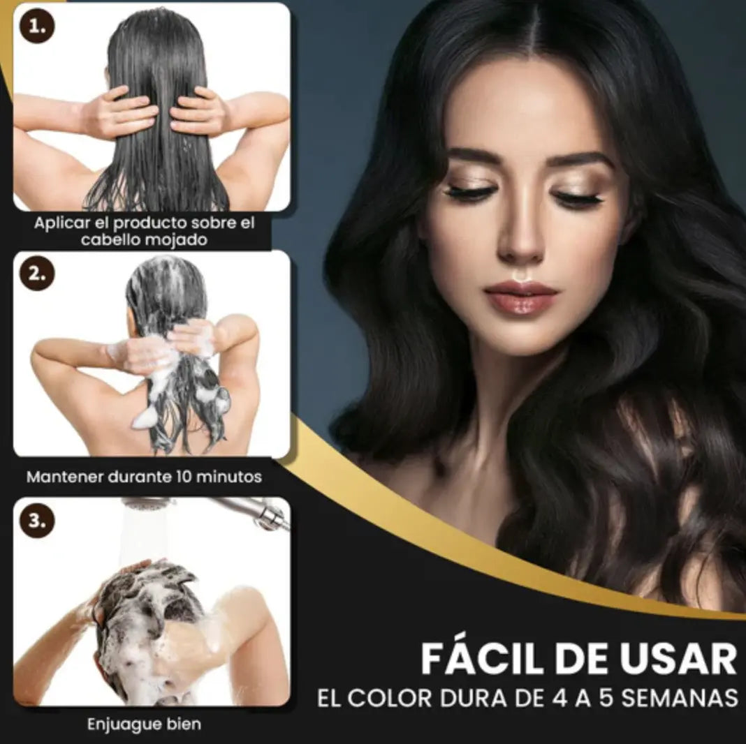 3 in 1 Black Dye Shampoo
